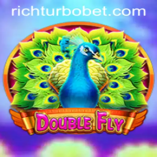 DoubleFly: Embark on an Aerial Adventure with RICHTURBO